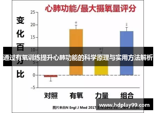 通过有氧训练提升心肺功能的科学原理与实用方法解析